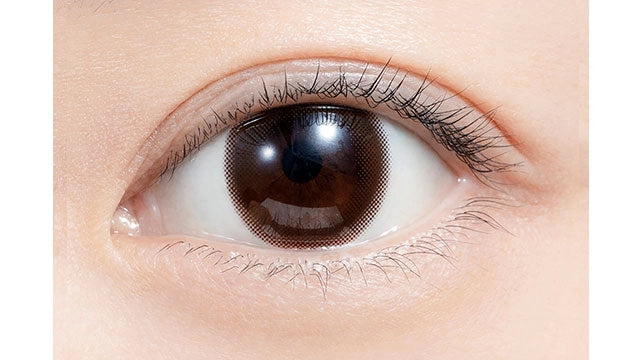 FELIAMO 1DAY SHEER BROWN(1BOX 10SHEETS) 0