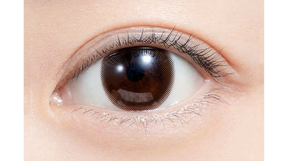 FELIAMO 1DAY SHEER BROWN(1BOX 10SHEETS) 0