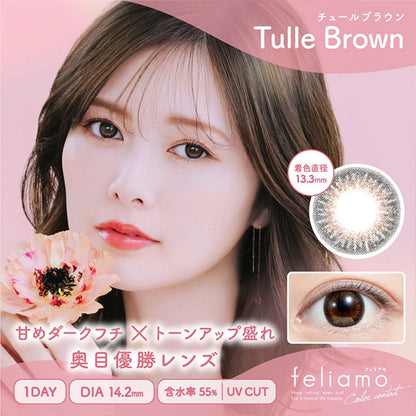 FELIAMO 1DAY TULLE BROWN(1BOX 10SHEETS) MAIN IMAGE