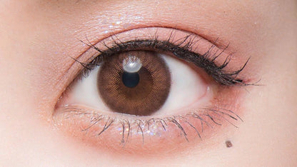FLURRY 1DAY MOCHA DARK BROWN(1BOX 10SHEETS) 1