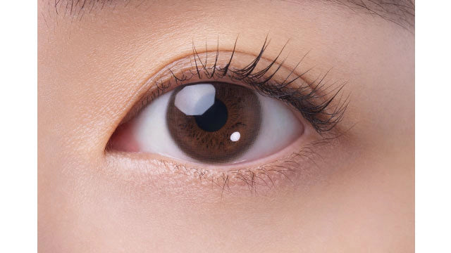 FAIRY 1MONTH NEUTRAL SERIES LITTLE BROWN(1BOX 2SHEETS) 0