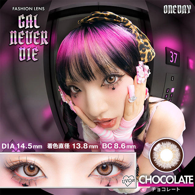 GAL NEVER DIE 1DAY CHOCOLATE(1BOX 10SHEETS) MAIN IMAGE