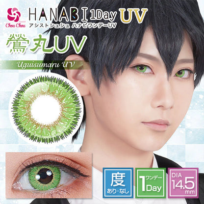 ASSIST CHOUCHOU HANABI 1DAY UGUISUMARU(1BOX 6SHEETS) MAIN IMAGE