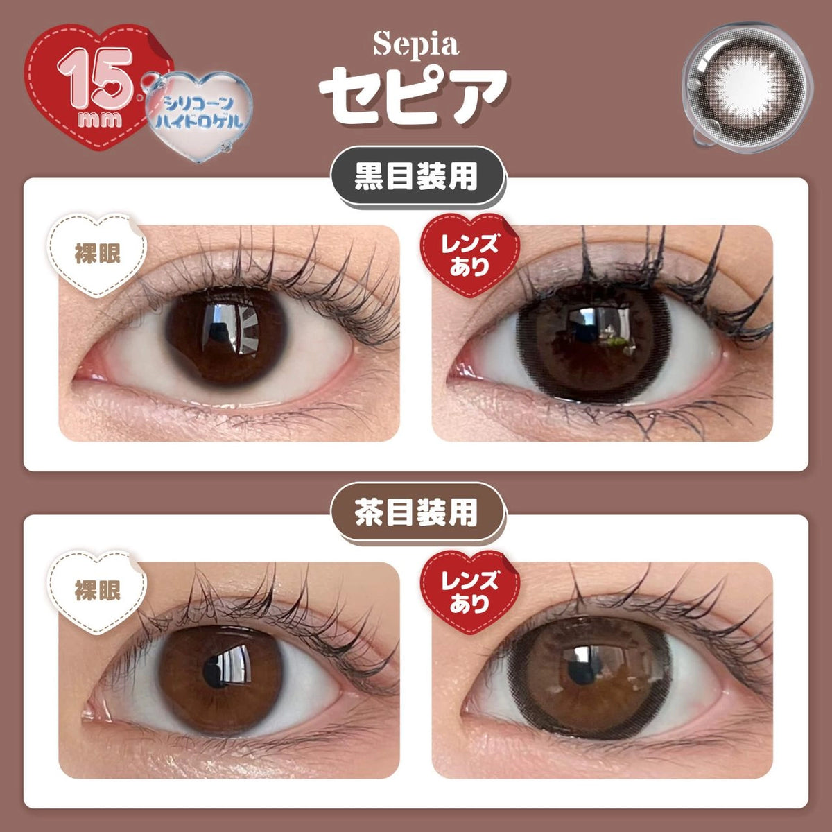 HONEY DROPS 1DAY SILICONE HYDROGEL SEPIA(1BOX 10SHEETS) 0