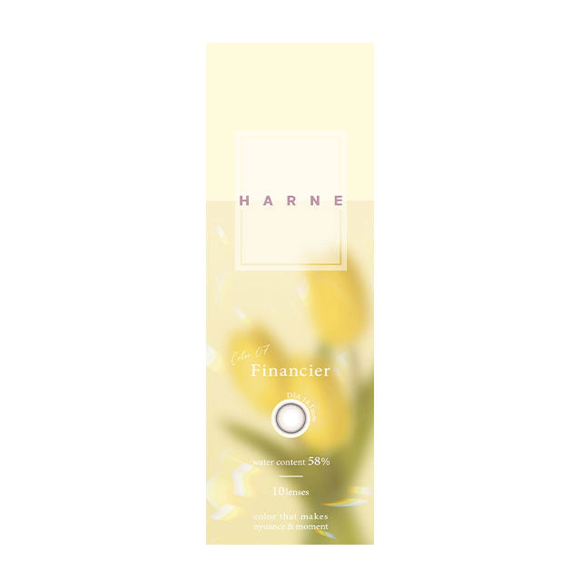 HARNE 1DAY FINANCIER(1BOX 10SHEETS) 2