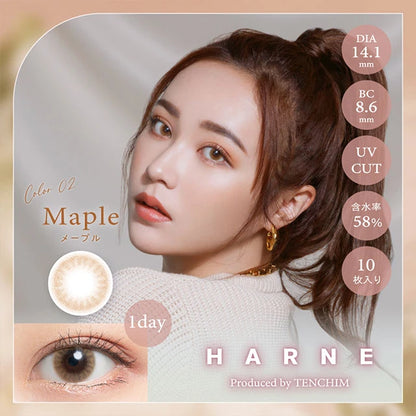 HARNE 1DAY MAPLE(1BOX 10SHEETS) MAIN IMAGE