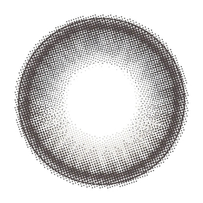 AIECLIPSE 1DAY GRAY MOON(1BOX 10SHEETS) 1