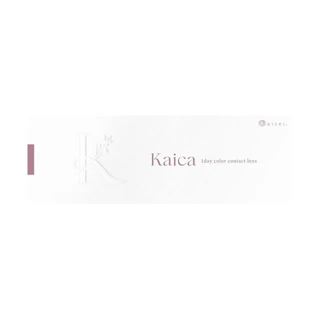 KAICA 1DAY TOUKA VEIL(1BOX 10SHEETS) 2