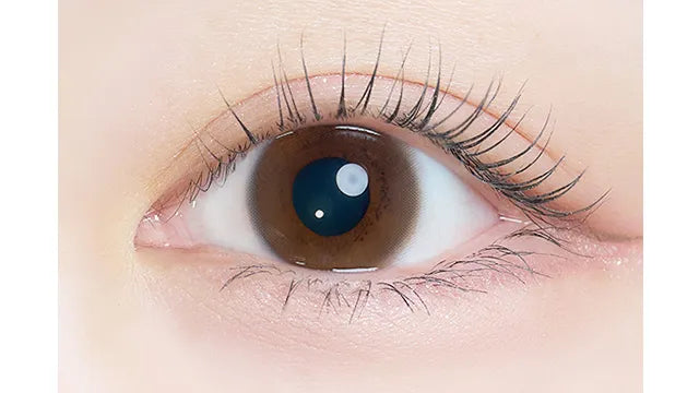 KAICA 1DAY YOUUKA BROWN(1BOX 10SHEETS) 0