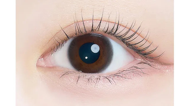 KAICA 1DAY YUUZUKI BLACK(1BOX 10SHEETS) 0