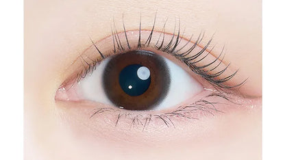 KAICA 1DAY YUUZUKI BLACK(1BOX 10SHEETS) 0