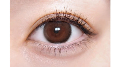 ULULUMO BY MOTECON 1DAY CHOCO RING BROWN(1BOX 10SHEETS) 0