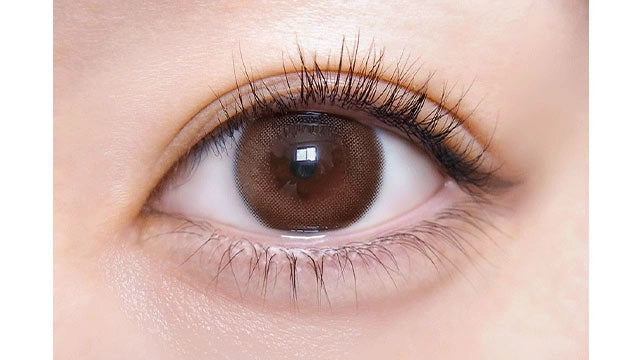 ULULUMO BY MOTECON 1DAY TULLE PEARL BROWN(1BOX 10SHEETS) 0