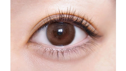 ULULUMO BY MOTECON 1DAY TULLE PEARL BROWN(1BOX 10SHEETS) 0