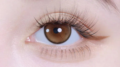 LILMOON 0.03 ZERO 1DAY ZERO HAZEL(1BOX 10SHEET) 0