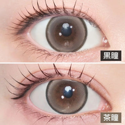 LARME 1DAY SILICONE HYDROGEL W MOIST UV ADDIC TEA BEIGE(1BOX 10SHEETS) 0