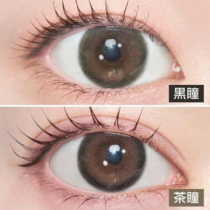 LARME 2WEEK SILICONE ICE GRAY BROWN(1BOX 6SHEETS) 0