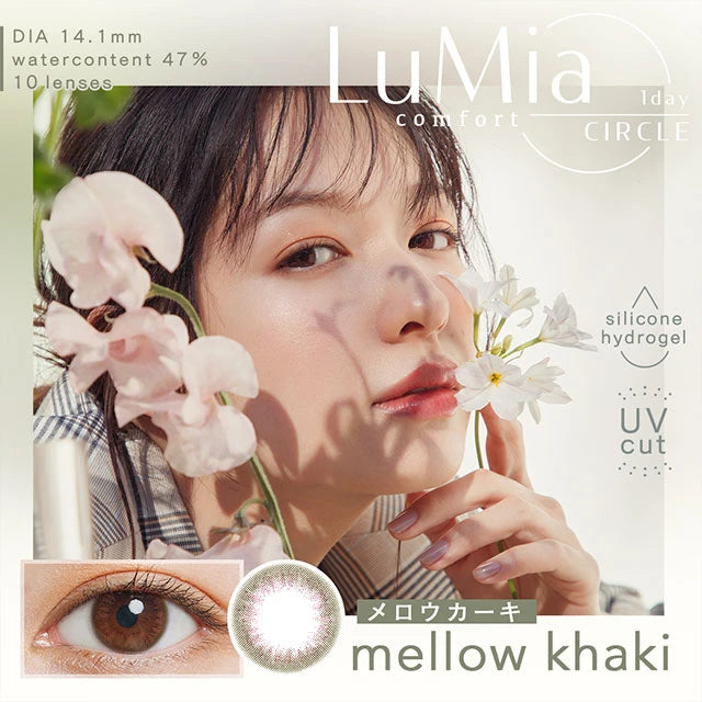 LUMIA COMFORT 1DAY CIRCLE MELLOW KHAKI(1BOX 10SHEETS) MAIN IMAGE