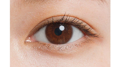 LUMIA COMFORT 1DAY CIRCLE PUFF BROWN(1BOX 10SHEETS) 0