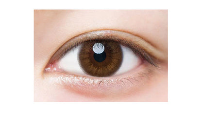 LUMIA 2WEEK NUDY BROWN(1BOX 6SHEETS) 0