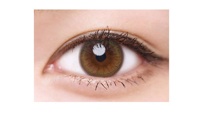 LUMIA 2WEEK CHIFFON OLIVE(1BOX 6SHEETS) 0