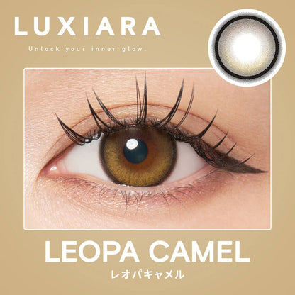 LUXIARA 1DAY LEOPA CAMEL(1BOX 10SHEETS) 0