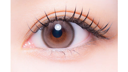 MECHUMECHU 1DAY UYU BROWN(1BOX 10SHEETS) 0