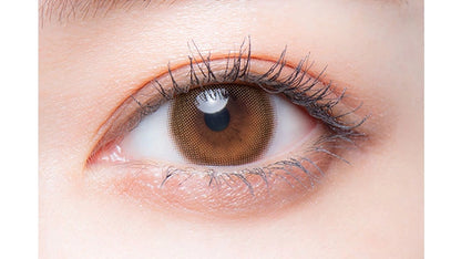 MELOTTE 1DAY MILK PUFF(1BOX 10SHEETS) 0