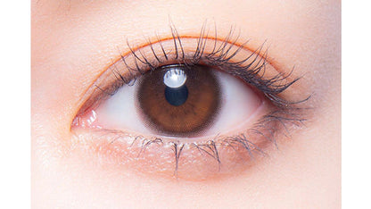 MELOTTE 1DAY MORE LADY(1BOX 10SHEETS) 0