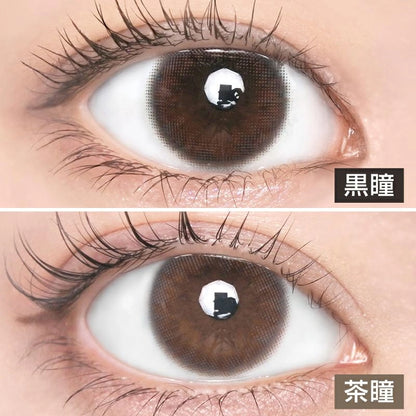 LARME 1MONTH MEIME! BY LARME OCHAME KUROMAME(1BOX 2SHEETS) 0