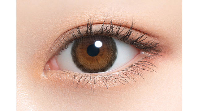 MIMUCO 1DAY COCO TRUFFLE(1BOX 10SHEETS) 0