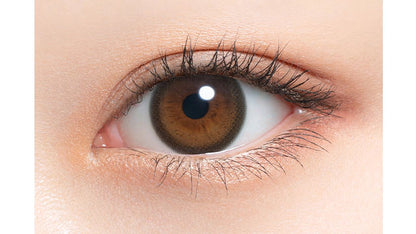 MIMUCO 1DAY COCO TRUFFLE(1BOX 10SHEETS) 0