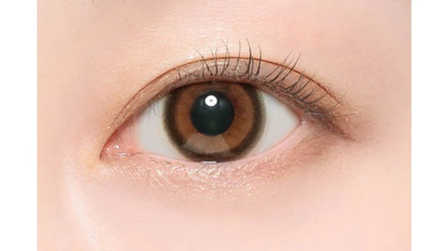 CANDYMAGIC 1MONTH MIMI BROWN(1BOX 1SHEET) 1