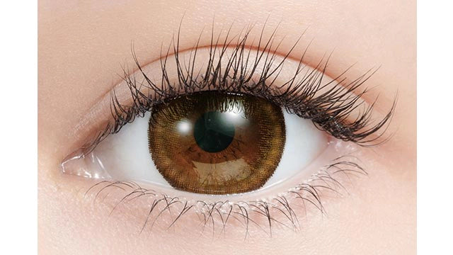 MIRAGE 1MONTH 14.8MM DRESS BROWN(1BOX 2SHEETS) 0