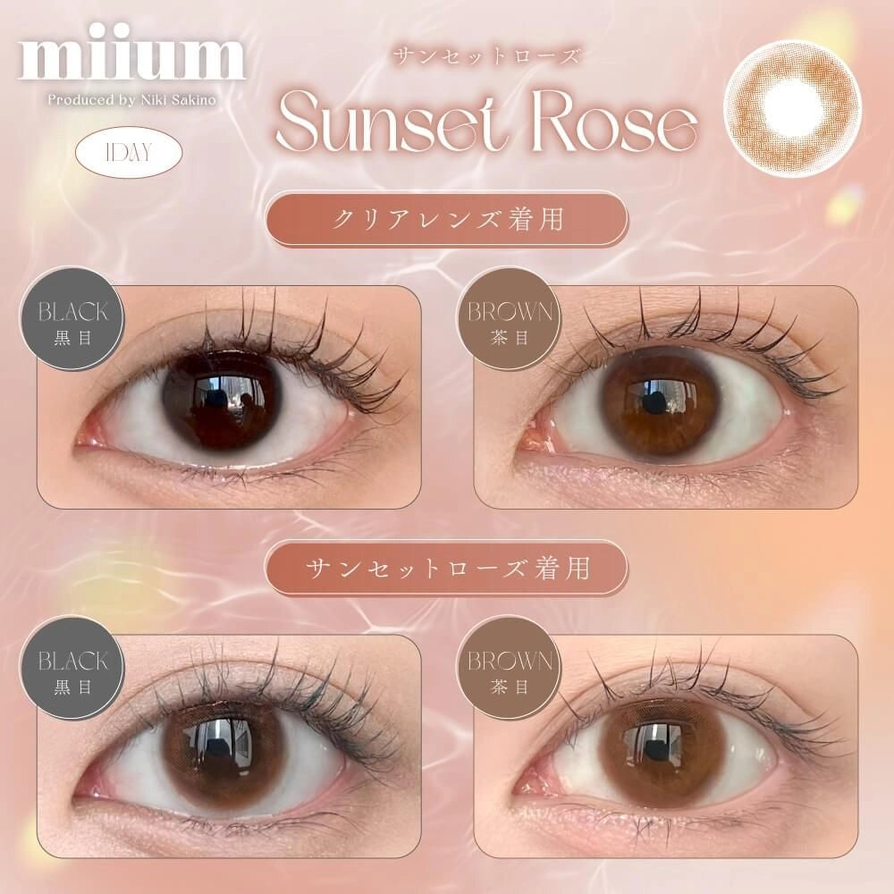 MIIUM 1DAY SUNSET ROSE(1BOX 10SHEETS) 0