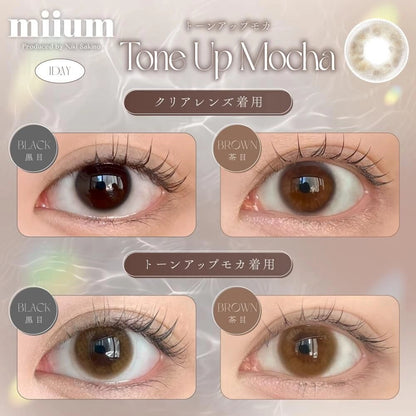 MIIUM 1DAY TONE UP MOCHA(1BOX 10SHEETS) 0
