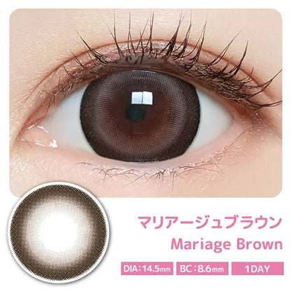 MAJETTE x RELAX 1DAY MARIAGE BROWN(1BOX 10SHEETS) 0