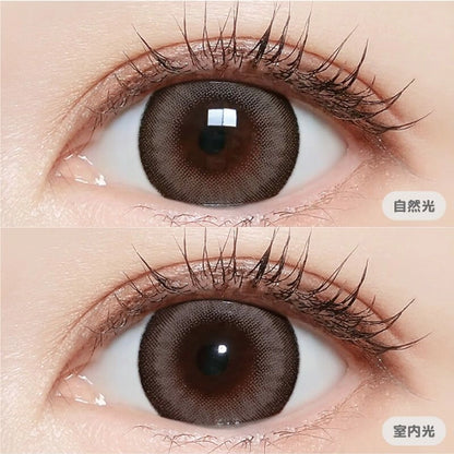 MAJETTE x RELAX 1DAY MAUVE GREIGE(1BOX 10SHEETS) 0