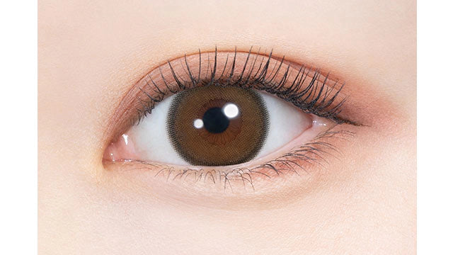 MELADY 1DAY MELADY BROWN(1BOX 10SHEETS) 0