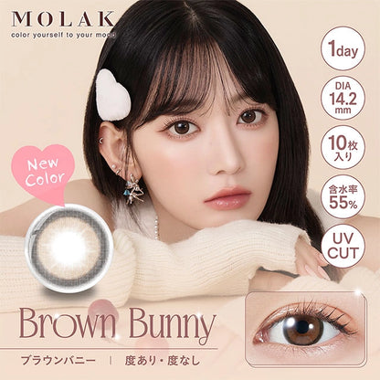 MOLAK 1DAY BROWN BUNNY(1BOX 10SHEETS) MAIN IMAGE