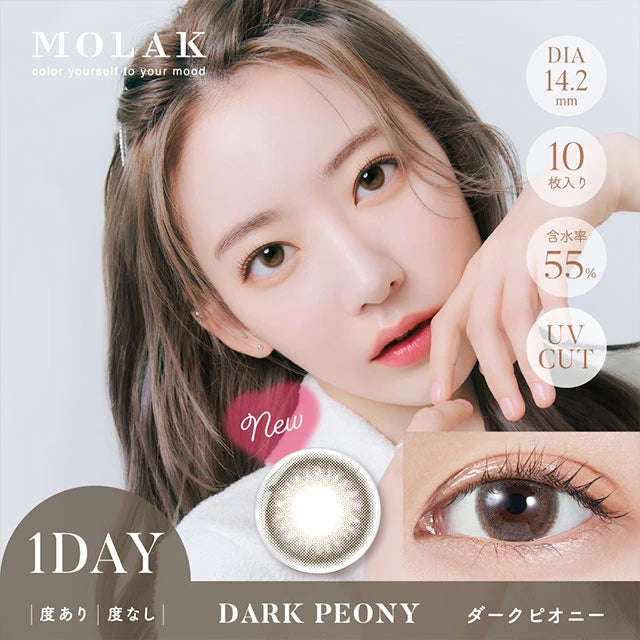 MOLAK 1DAY DARK PEONY(1BOX 10SHEETS) MAIN IMAGE