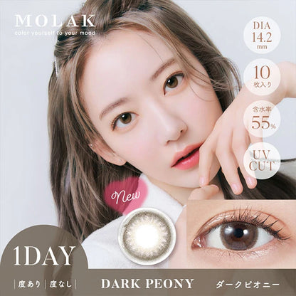 MOLAK 1DAY DARK PEONY(1BOX 10SHEETS) MAIN IMAGE