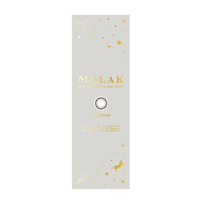 MOLAK 1DAY GRAY BUNNY(1BOX 10SHEETS) 2