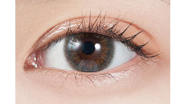 MOLAK 1DAY MELTY MIST(1BOX 10SHEETS) 0