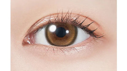 MOLAK 1DAY TWINKLE BROWN(1BOX 10SHEETS) 0