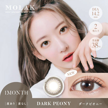 MOLAK 1MONTH DARK PEONY(1BOX 2SHEETS) MAIN IMAGE