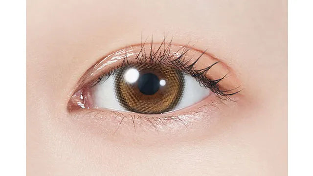 MOLAK 1MONTH TWINKLE BROWN(1BOX 2SHEETS) 0
