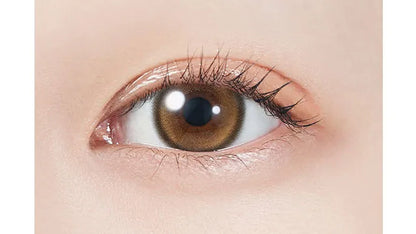 MOLAK 1MONTH TWINKLE BROWN(1BOX 2SHEETS) 0