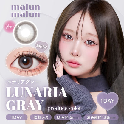 MALUNMALUN 1DAY LUNARIA GRAY(1BOX 10SHEETS) MAIN IMAGE