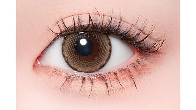 MALUNMALUN 1MONTH MAPLE CONTOUR(1BOX 2SHEETS) 0